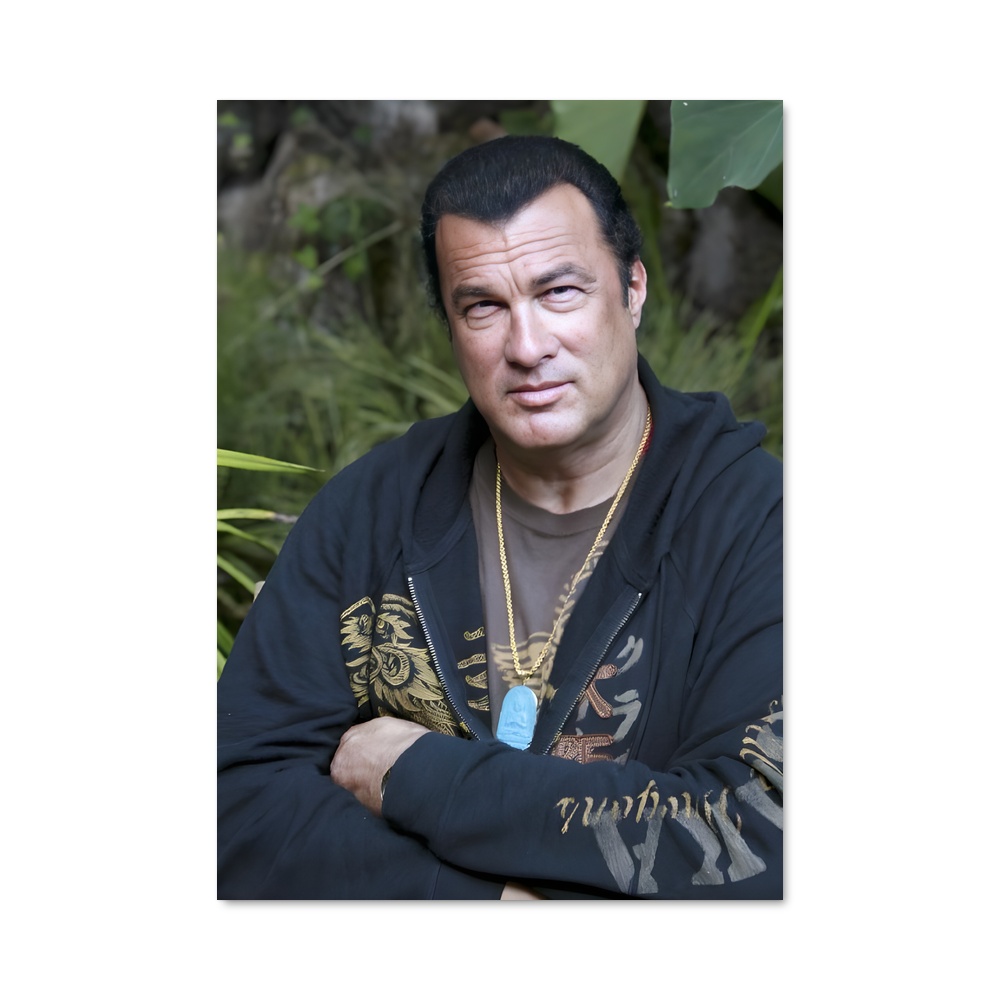 Poster Steven seagal chaîne